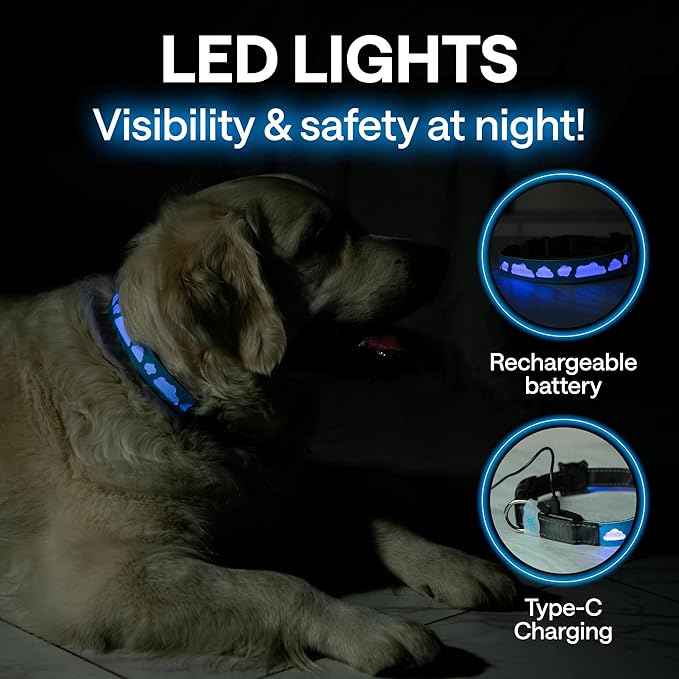 Airtag Dog Collar LED