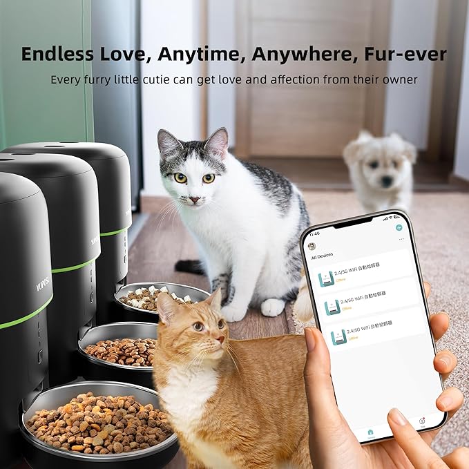 Automatic 5g Cat Food Dispenser