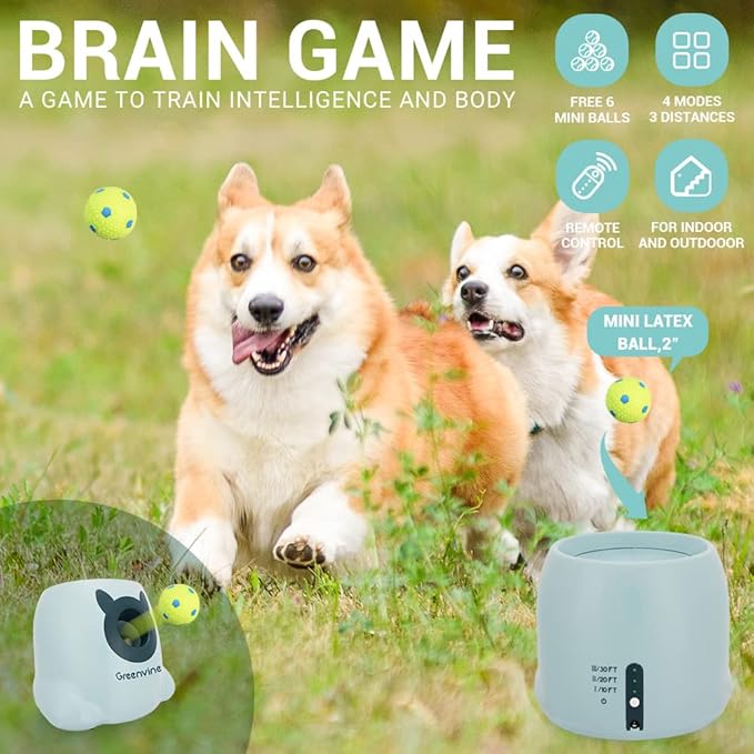 Automatic Dog Ball Launcher For Large Dogs