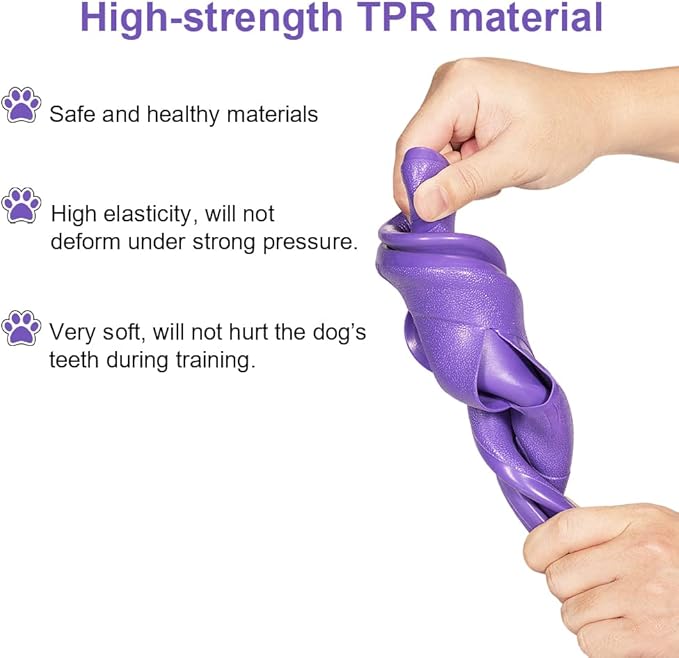 Dog Catch and Fetch Disc