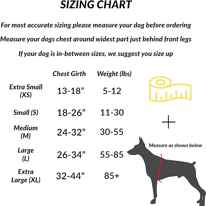 Dog Harness, No-Pull Pet Vest with 3 Leash Clips