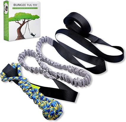 Outside Dog Bungee Tug Toy