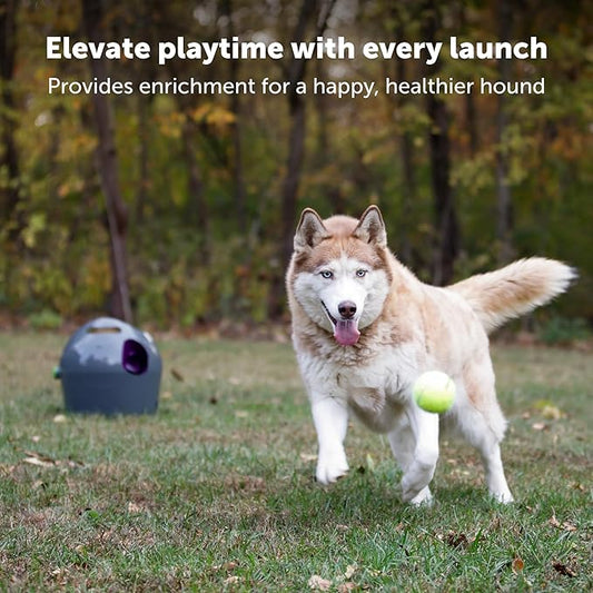 Fetch Disc Automatic Launchers