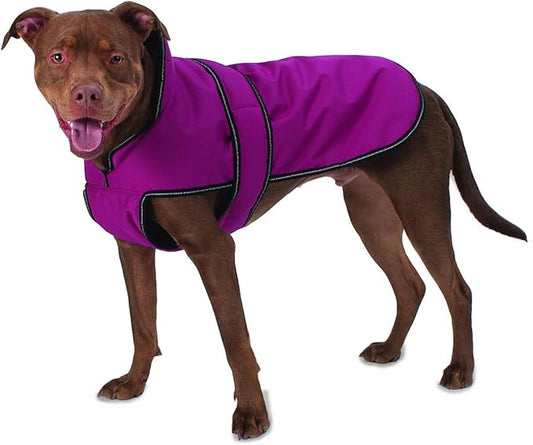 Medium Petrageous Dog Coats