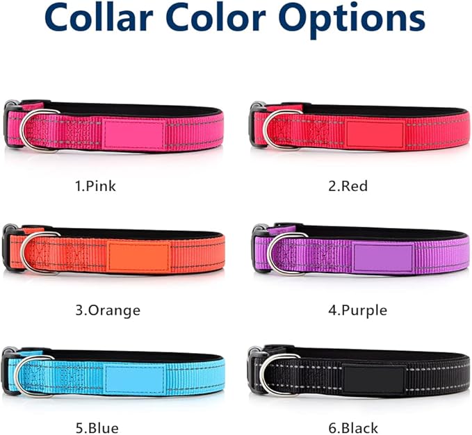 Personalized Dog Collars