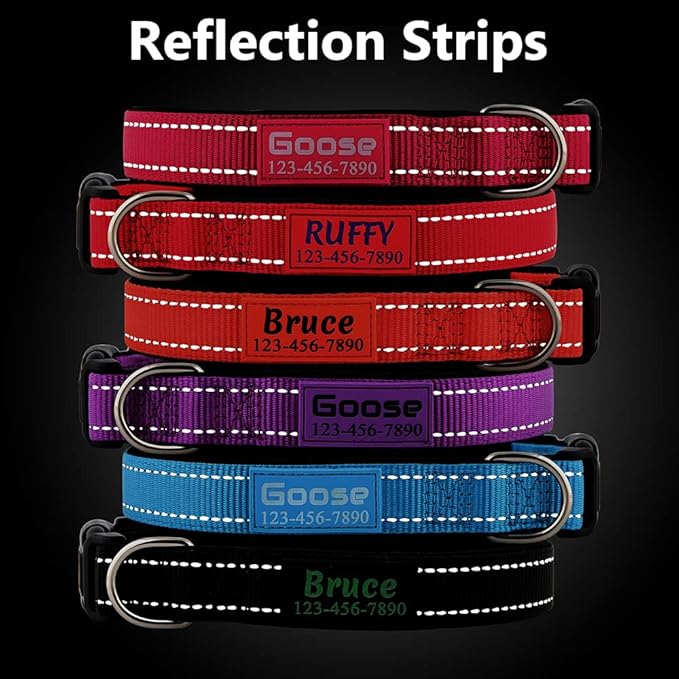 Personalized Dog Collars