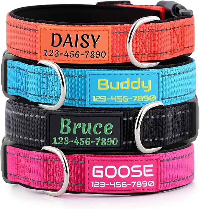 Personalized Dog Collars