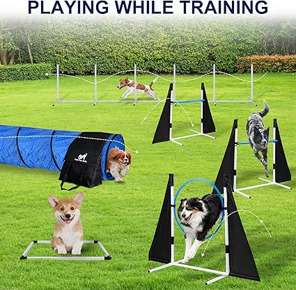 Premium Dog Agility Training Equipment