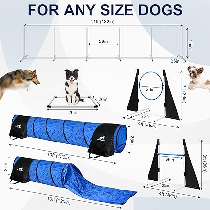 Premium Dog Agility Training Equipment