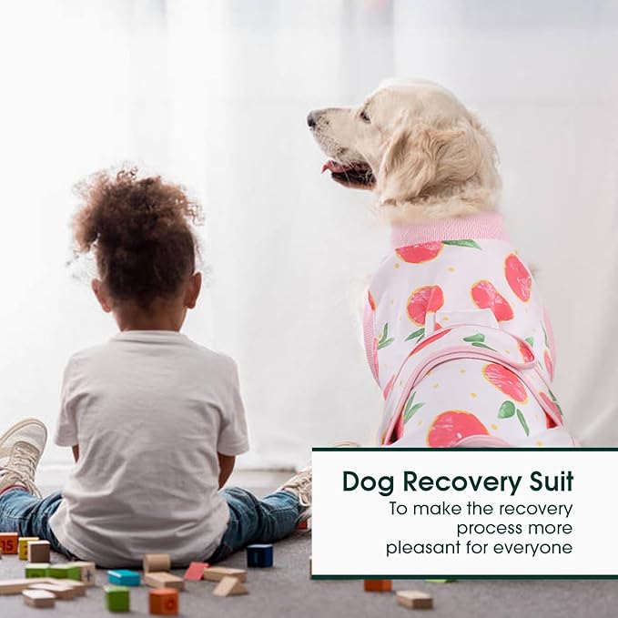 Recovery Suit for Dogs and Cats After Surgery