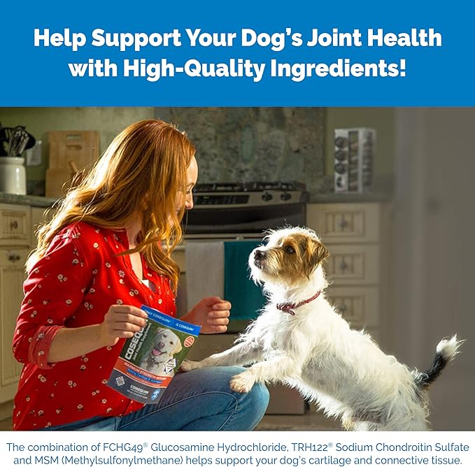 glucosamine-dog-hip-and-joint-supplement