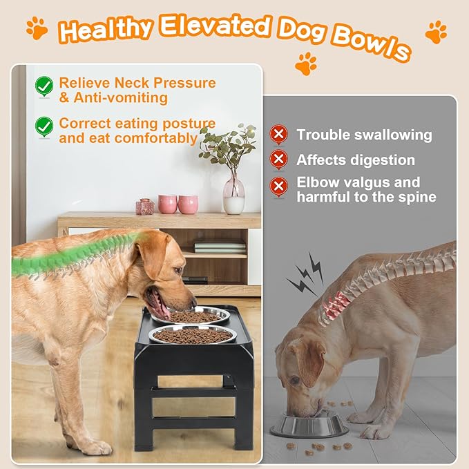 Height Alterable Dog food Bowls 2025
