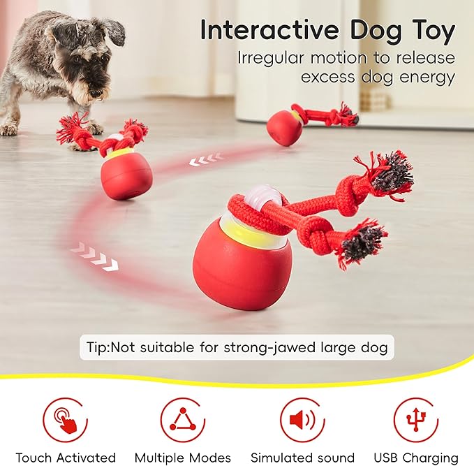 Interactive Squeaky Dog Ball Toys 2025