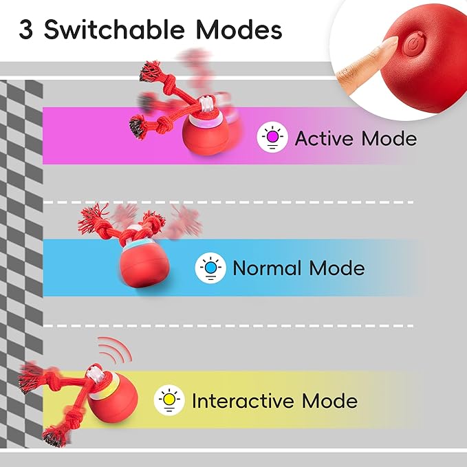 Interactive Squeaky Dog Ball Toys 2025