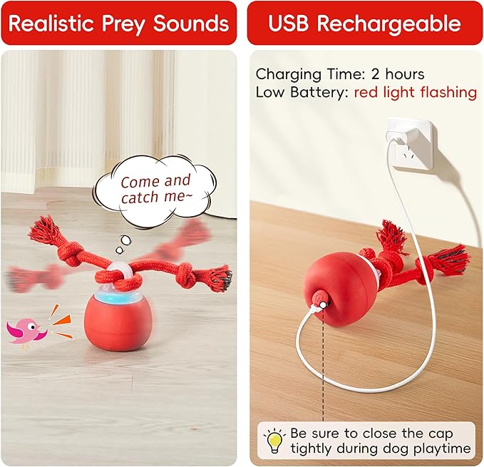 Interactive Squeaky Dog Ball Toys 2025