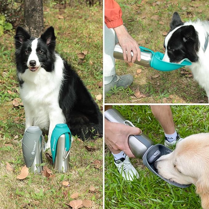 Motile Dog Water Bottle Dispenser