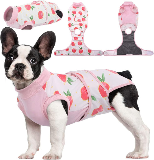 Recovery Suit for Dogs and Cats After Surgery