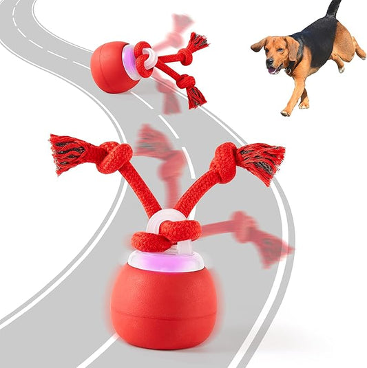 Interactive Squeaky Dog Ball Toys 2025