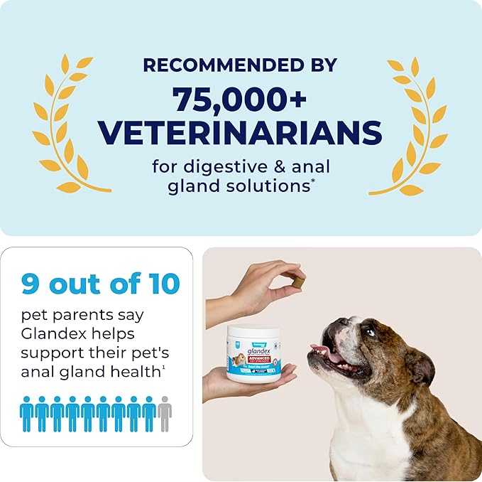 Probiotic supplements for dogs digestive health