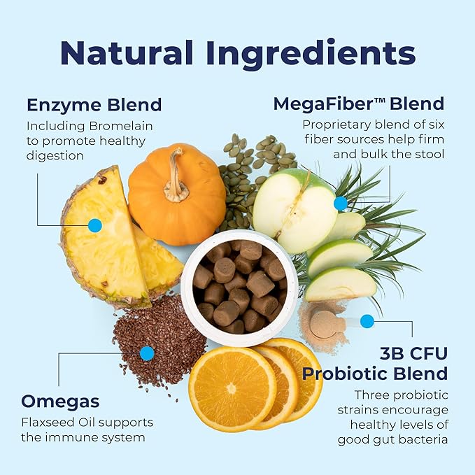 Probiotic supplements for dogs digestive health