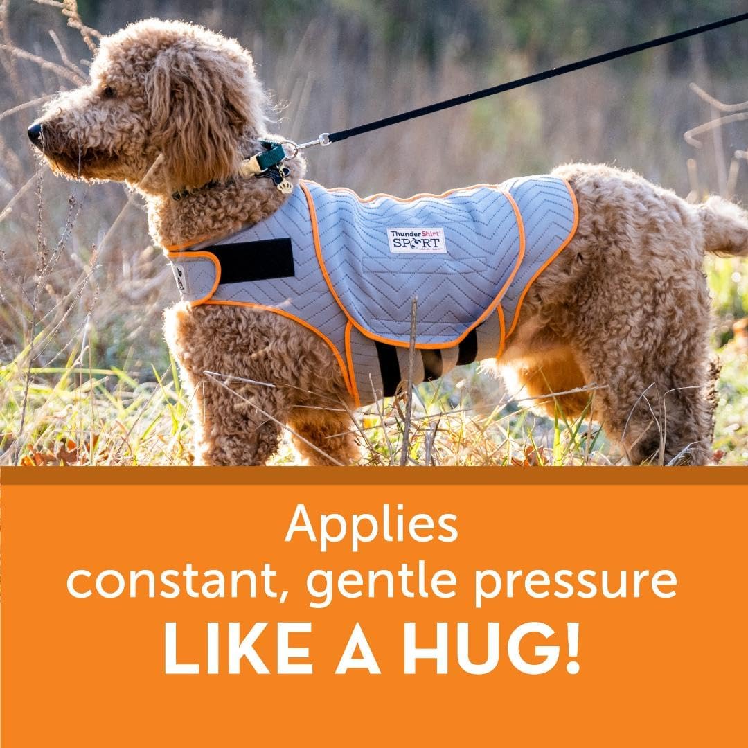 Dog Consternation Relief Shirt
