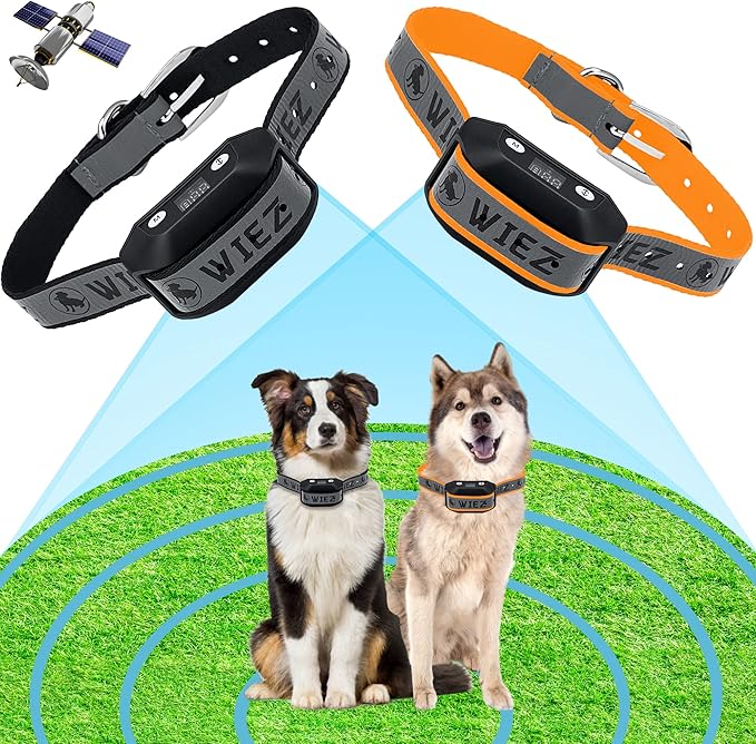 wireless electronic dog fence 2025