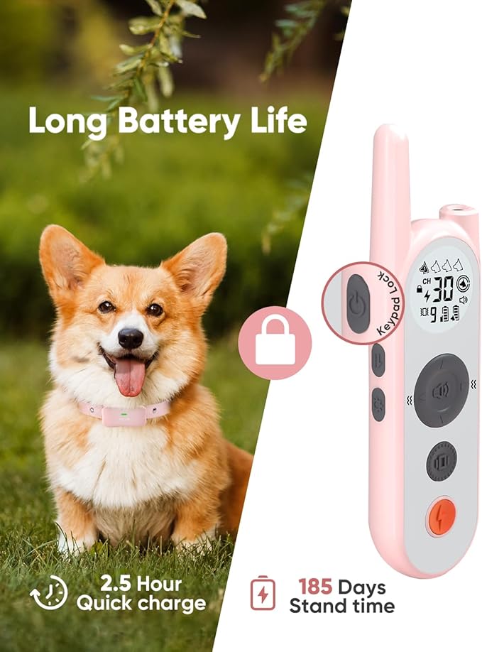 Dog and Cat Security