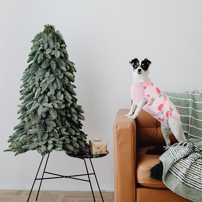 Recovery Suit for Dogs and Cats After Surgery