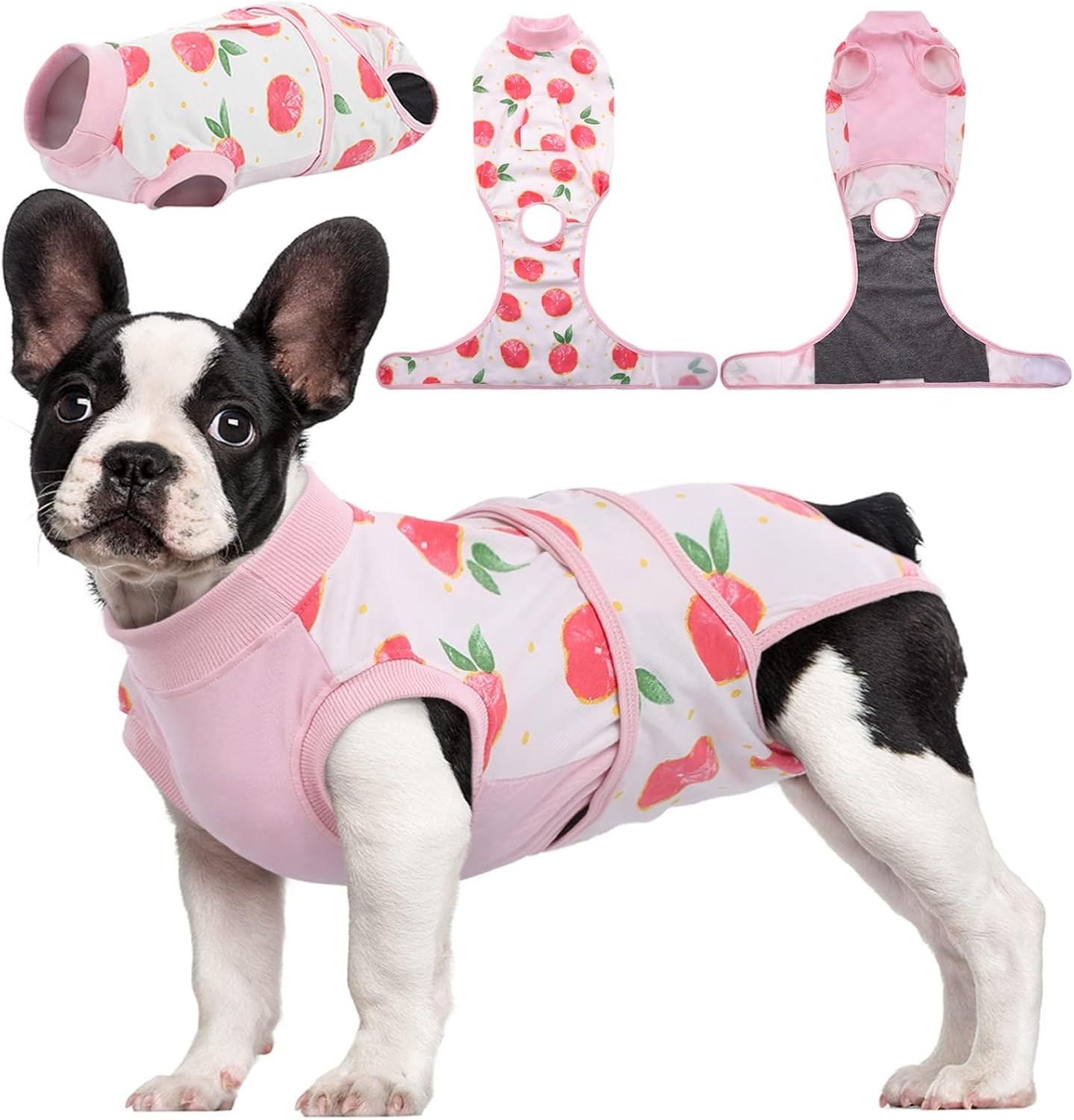 Recovery Suit for Dogs and Cats After Surgery