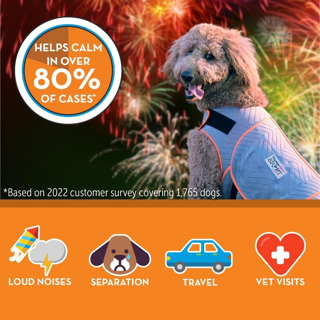 Dog Consternation Relief Shirt